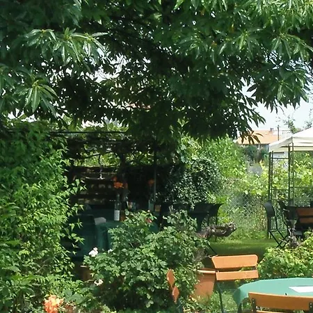 Hotel Weinhof Hornstein - 3*
