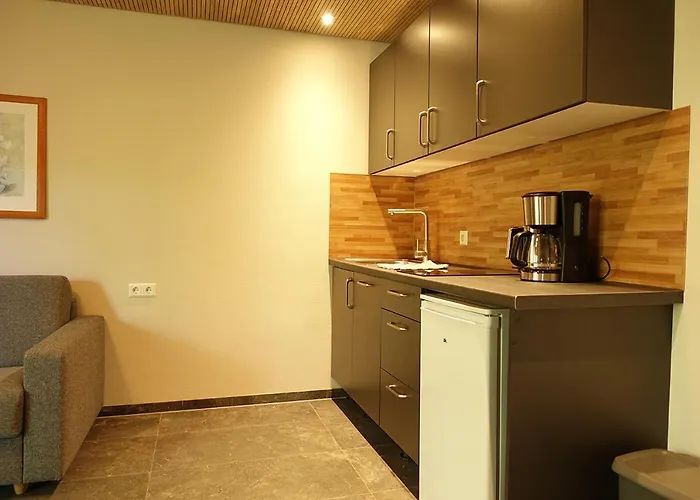 מלון Gaestehaus Hornstein 3*